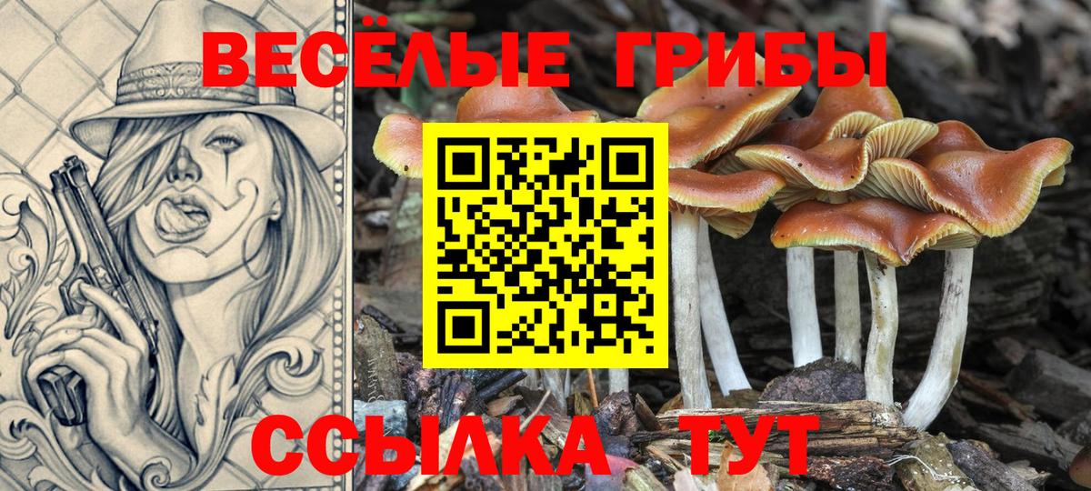 Старая Купавна  Псилоцибиновые грибы Psilocybine cubensis  Псилоцибиновые грибы MAGIC MUSHROOMS  Вход с VPN 