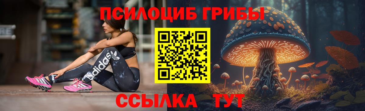 Псилоцибиновые грибы мицелий Старая Купавна